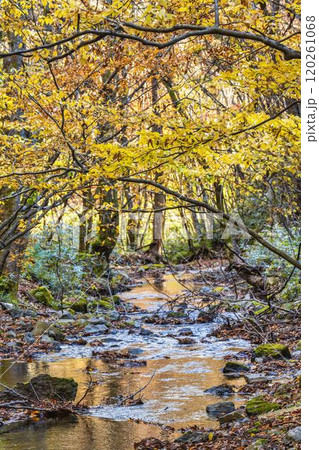 晩秋の達沢川の流れ 遊歩道からみた風景 福島猪苗代 晩秋の達沢川の流れ 遊歩道からみた風景 福島猪苗代 120261068