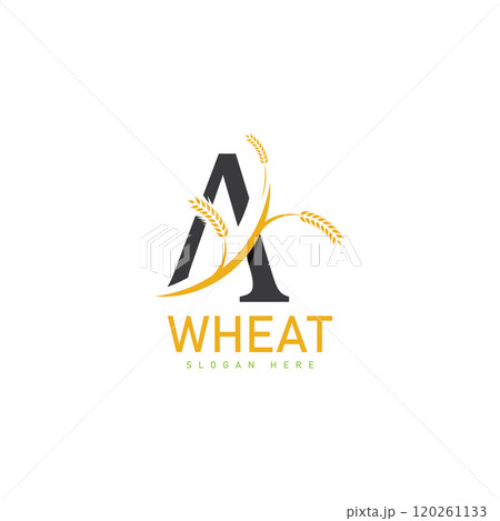 Agriculture wheat Logo Template vector icon design 120261133
