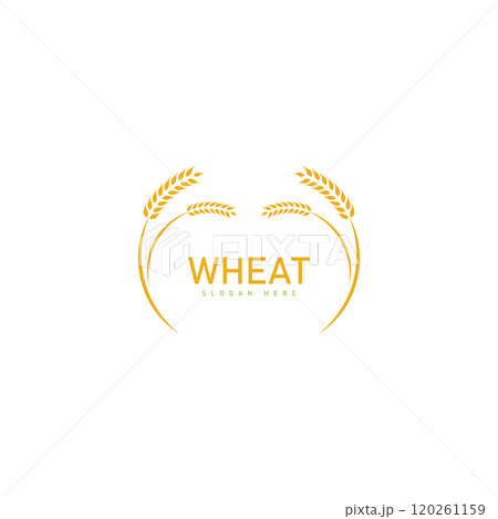Agriculture wheat Logo Template vector icon design 120261159