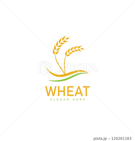 Agriculture wheat Logo Template vector icon design 120261163