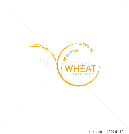 Agriculture wheat Logo Template vector icon design 120261164