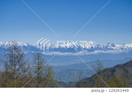 【長野県】美ヶ原スカイラインから眺める北アルプスの山並み 120261449
