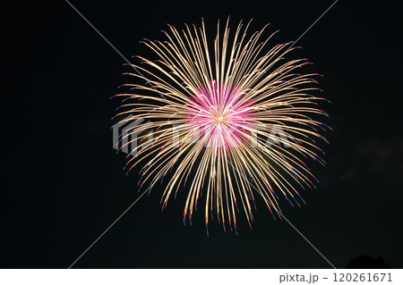 夜空に咲く大輪の花 夜空に咲く大輪の花 120261671