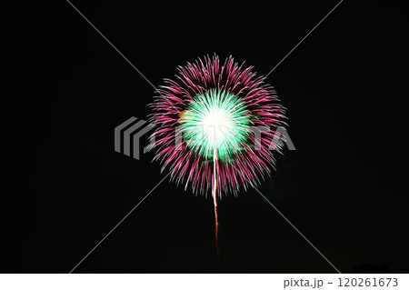 赤い打ち上げ花火 120261673