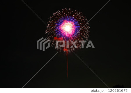 夜空に浮かぶ花火 120261675