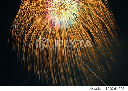 夜空に咲く花火 夜空に咲く花火 120261691