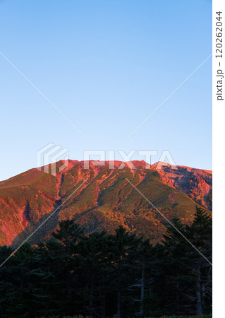 秋の御嶽山登山：田の原から望む夜明けの御嶽山 120262044