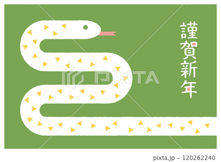 2025年　巳年の年賀状　テンプレート 120262240