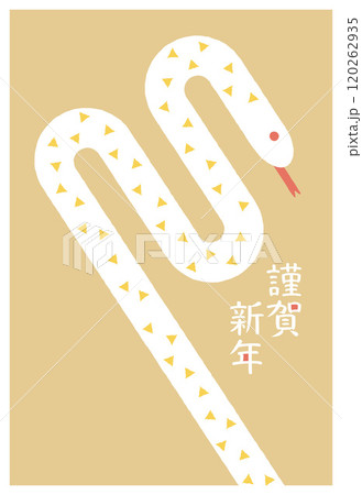 2025年　巳年の年賀状　テンプレート 120262935