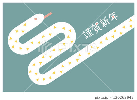 2025年　巳年の年賀状　テンプレート 120262945