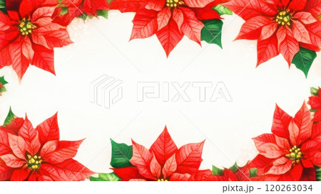 ポインセチアのクリスマス飾りのイラスト ポインセチアのクリスマス飾りのイラスト 120263034