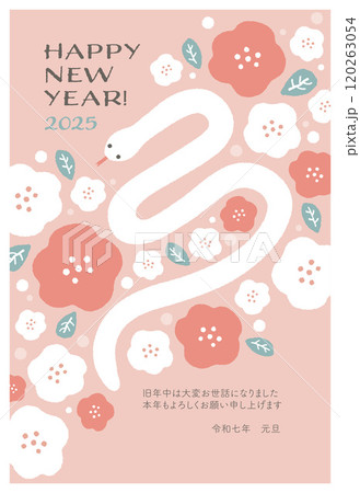 2025年　巳年の年賀状　テンプレート 120263054
