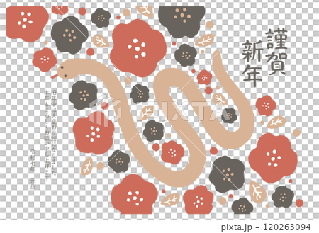 2025 Year of the Snake New Year's card template 120263094