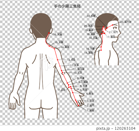 針灸穴位、手少陽三焦經、穴位圖解 120263104
