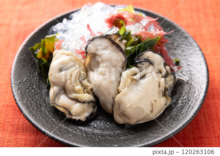 美味しいカキの小皿 120263106