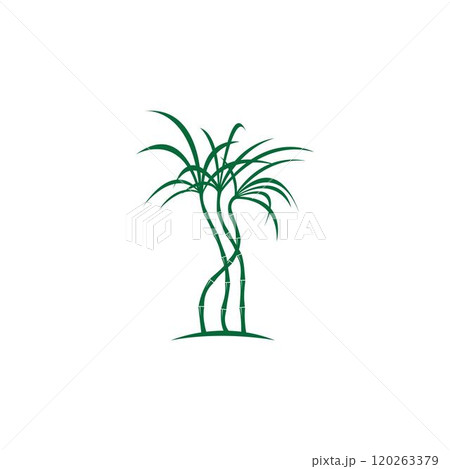 Sugar cane plant logo vector 120263379