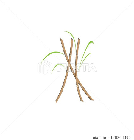 Sugar cane plant logo vector 120263390