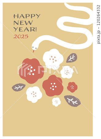 2025年　巳年の年賀状　テンプレート 120264332