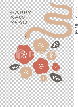 2025 蛇年新年賀卡模板 120264336