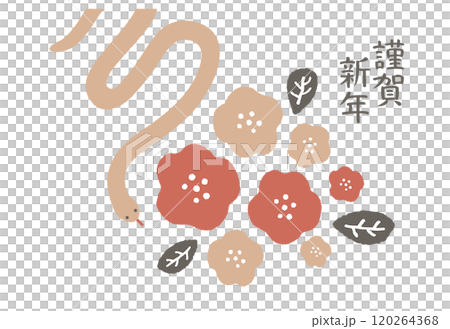 2025 蛇年新年賀卡模板 120264368