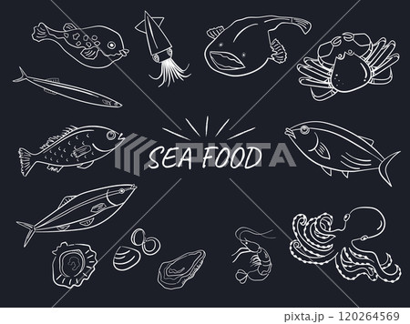 シーフード、色んな魚の線画イラストデザイン シーフード、色んな魚の線画イラストデザイン 120264569