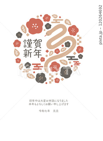 2025年　巳年の年賀状　テンプレート 120264692