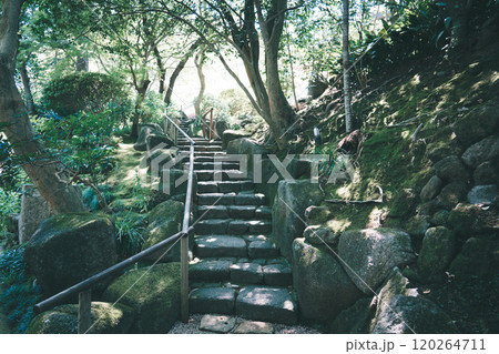 鎌倉の報国寺 120264711