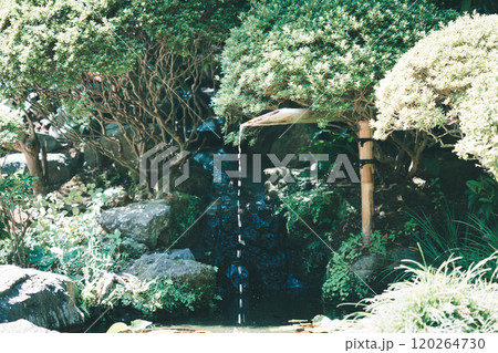 鎌倉の報国寺 鎌倉の報国寺 120264730