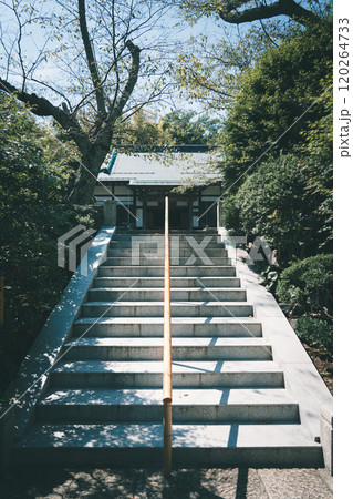 鎌倉の報国寺 120264733