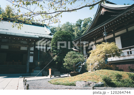 鎌倉の報国寺 鎌倉の報国寺 120264744
