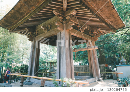 鎌倉の報国寺 鎌倉の報国寺 120264756