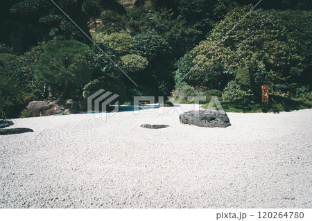 鎌倉の報国寺 120264780