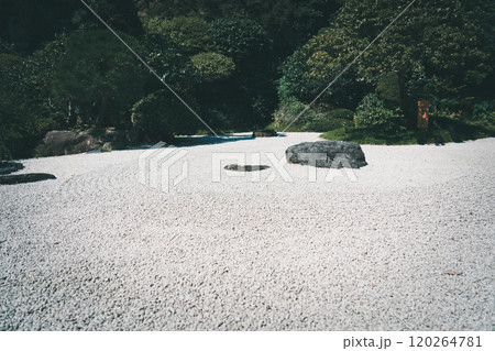 鎌倉の報国寺 120264781