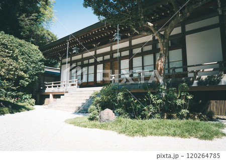 鎌倉の報国寺 120264785