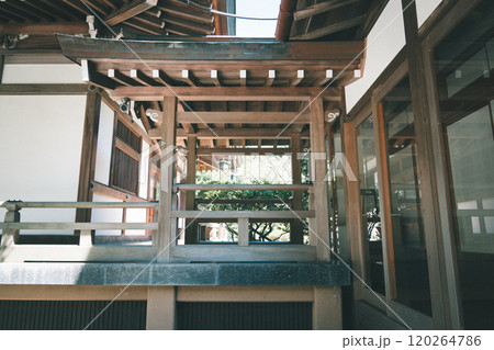 鎌倉の報国寺 鎌倉の報国寺 120264786