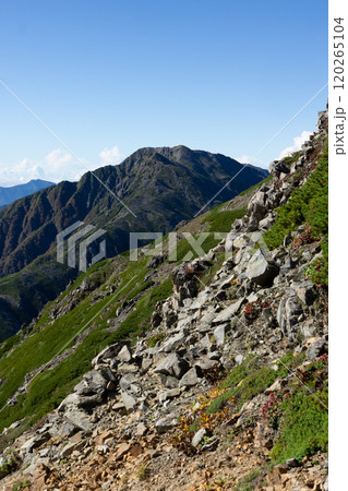 荒川小屋への登山道から見る赤石岳 南アルプス 悪沢岳と荒川岳登山 荒川小屋への登山道から見る赤石岳 南アルプス 悪沢岳と荒川岳登山 120265104