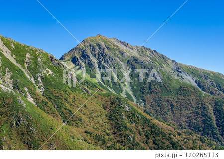 大聖寺平への登山道から見る悪沢岳(東岳)南アルプス 赤石岳登山 大聖寺平への登山道から見る悪沢岳(東岳)南アルプス 赤石岳登山 120265113