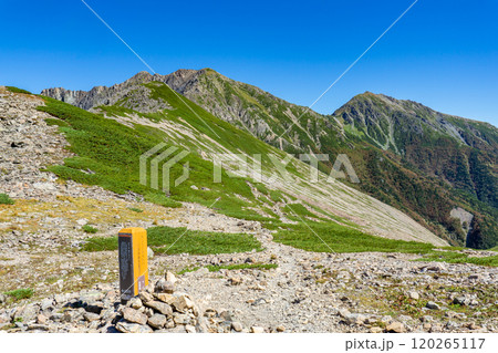 大聖寺平から見上げる荒川三山（荒川岳と悪沢岳）南アルプス　赤石岳登山 120265117
