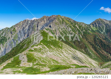 大聖寺平から見上げる荒川三山(荒川岳と悪沢岳)南アルプス 赤石岳登山 大聖寺平から見上げる荒川三山(荒川岳と悪沢岳)南アルプス 赤石岳登山 120265121
