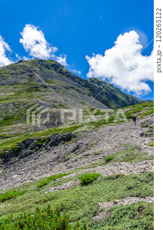 小赤石岳の肩から見上げる小赤石岳と赤石岳　南アルプス　赤石岳登山 120265122