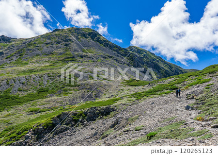 小赤石岳の肩から見上げる小赤石岳と赤石岳 南アルプス 赤石岳登山 小赤石岳の肩から見上げる小赤石岳と赤石岳 南アルプス 赤石岳登山 120265123