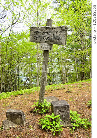 丹沢の黍殻山山頂　三等三角点（青根村） 120265358