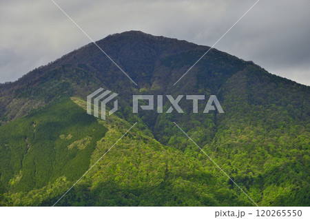 丹沢の袖平山 袖平山北尾根より望む 日差しが新緑の大室山を照らす 丹沢の袖平山 袖平山北尾根より望む 日差しが新緑の大室山を照らす 120265550