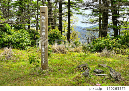 丹沢の袖平山山頂　新緑の頂と三角点 120265573