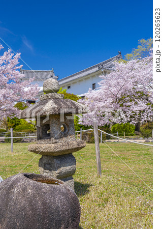姫路城 西の丸庭園 織部燈籠 姫路城 西の丸庭園 織部燈籠 120265623