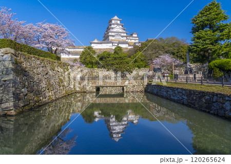 満開の桜の季節　喜斎門跡から見える姫路城 120265624