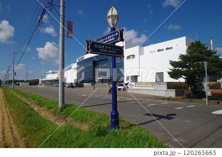 北海道　チョコレートストリート 120265665