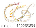 巳年 120265839