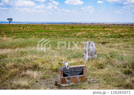 Maasai Mara National Game Reserve Park Narok County Kenya East Africa Wild Wildlife Animals Birds Nature Fauna Great Rift Valley Savanna Grasslands Wilderness 120265871