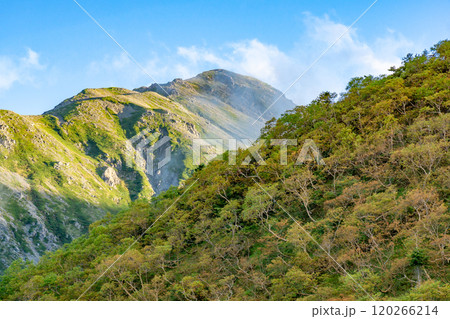 荒川小屋から見る赤石岳　南アルプス　悪沢岳と荒川岳登山 120266214
